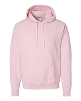 Unisex EcoSmart® Hooded Sweatshirt - 391